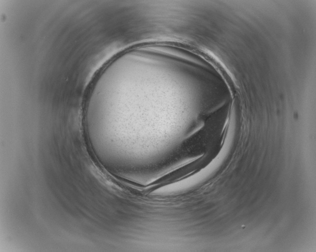 X0000081561460200701291137