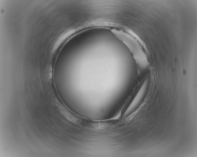 X0000081561461200701291137