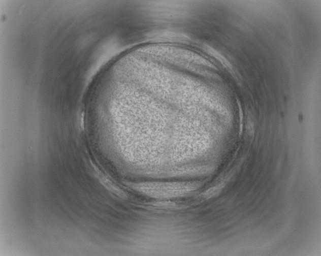 X0000081561462200701291137