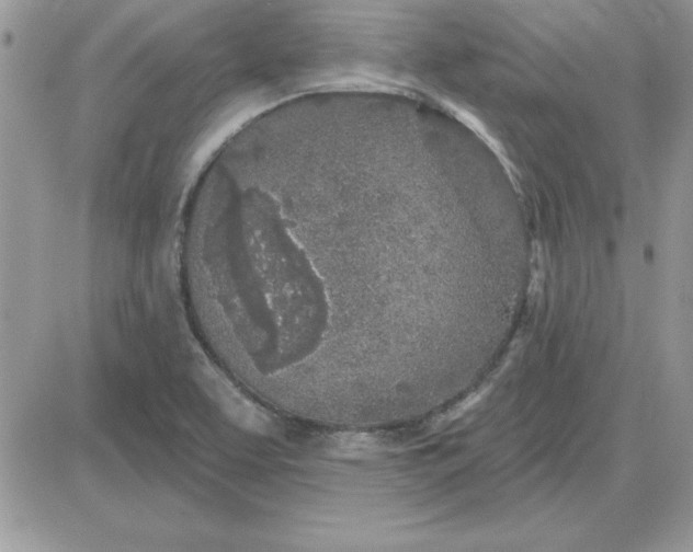 X0000081561463200701291137