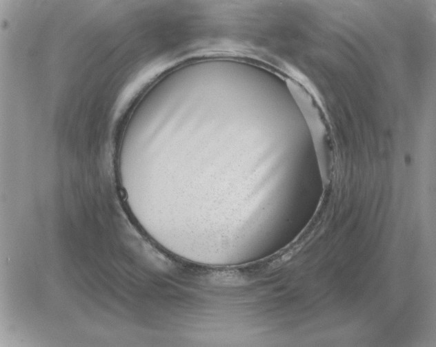 X0000081561464200701291137