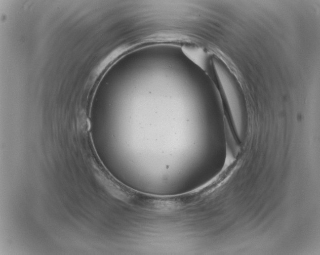 X0000081561465200701291137