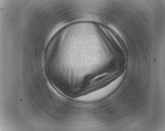 X0000081561468200701291137