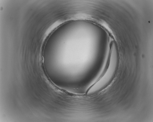 X0000081561469200701291137