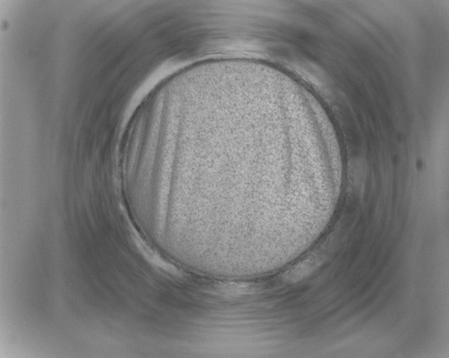 X0000081561470200701291137