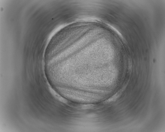 X0000081561471200701291137