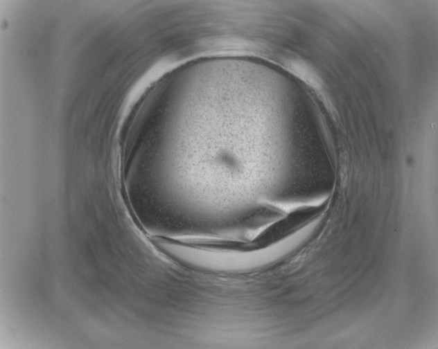 X0000081561472200701291137