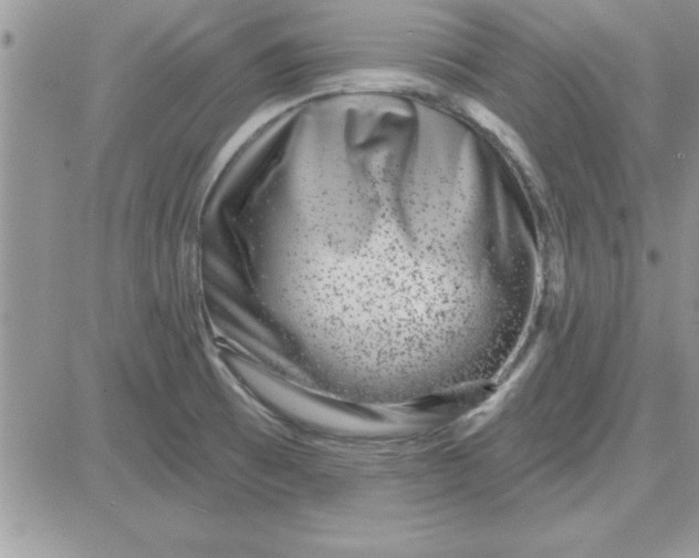 X0000081561473200701291137