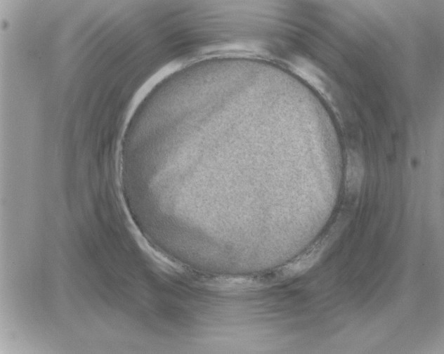 X0000081561474200701291137