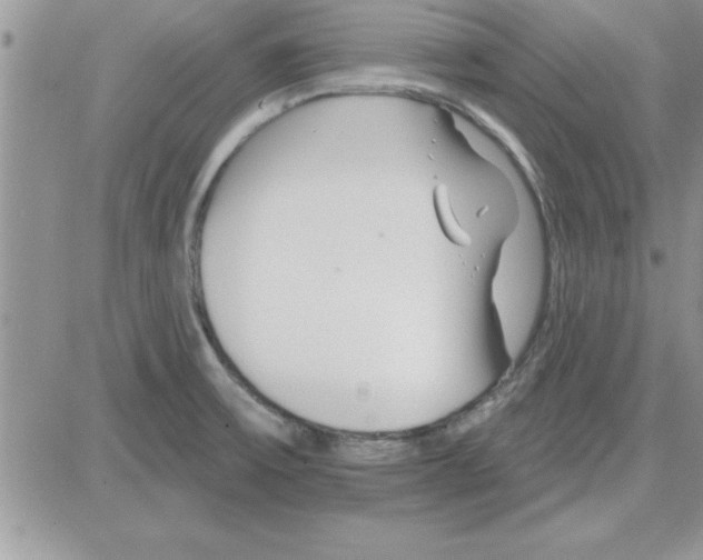 X0000081561475200701291137