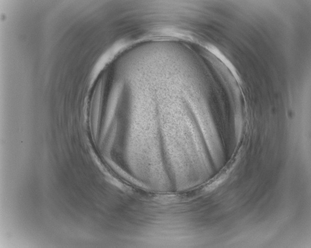 X0000081561477200701291137