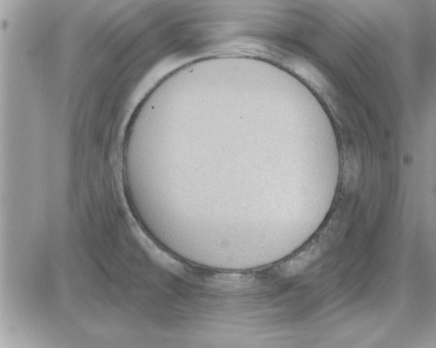 X0000081561478200701291137