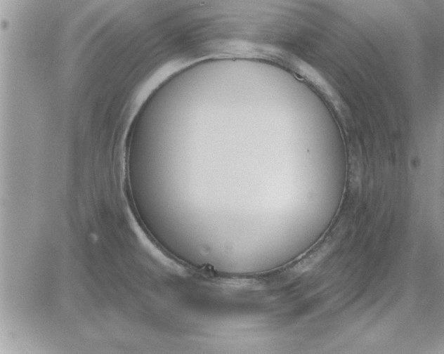 X0000081561479200701291137