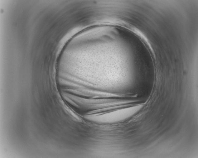 X0000081561480200701291137