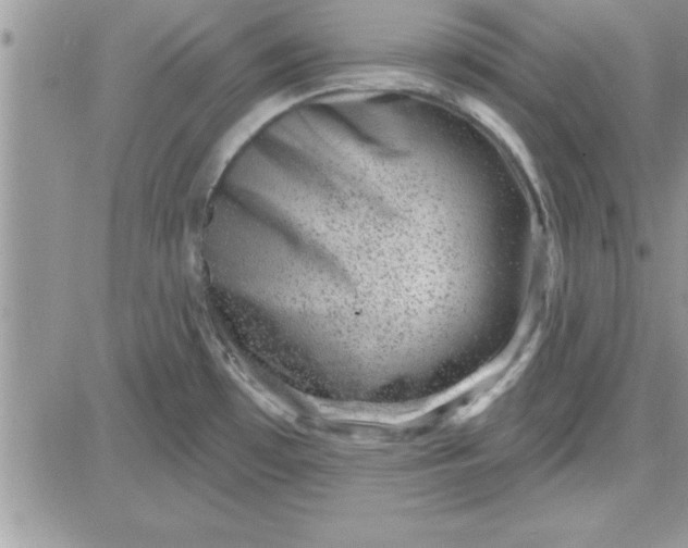 X0000081561481200701291137