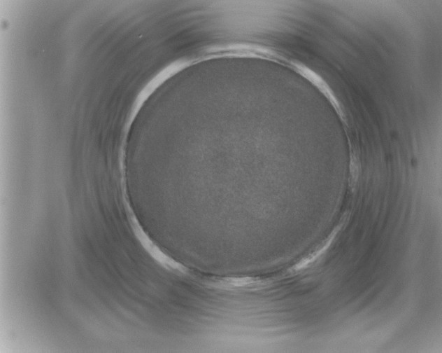 X0000081561482200701291137