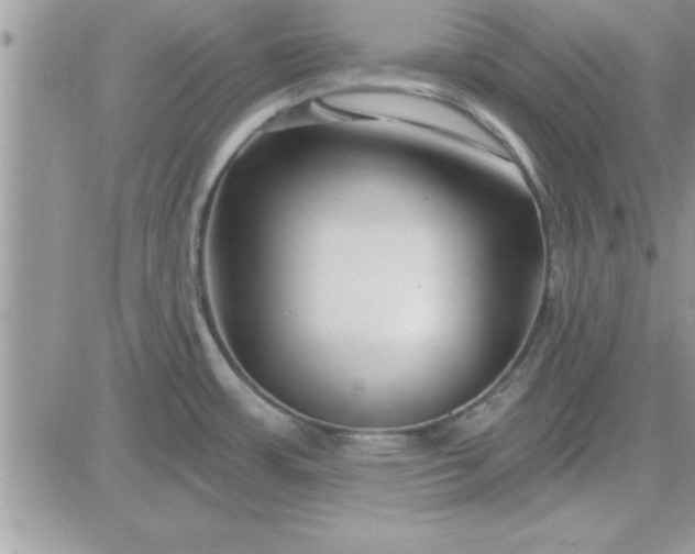 X0000081561483200701291137