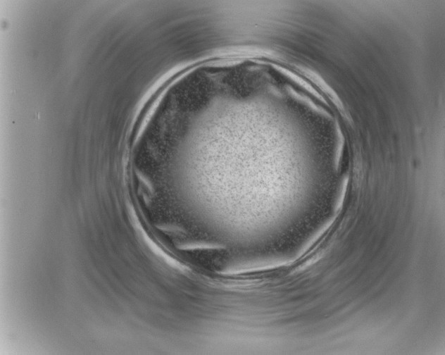 X0000081561484200701291137