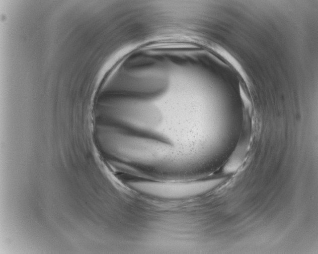 X0000081561485200701291137