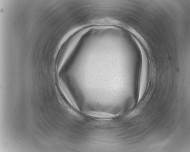 X0000081561486200701291137