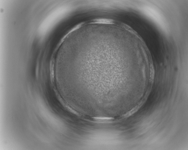 X0000081561487200701291137