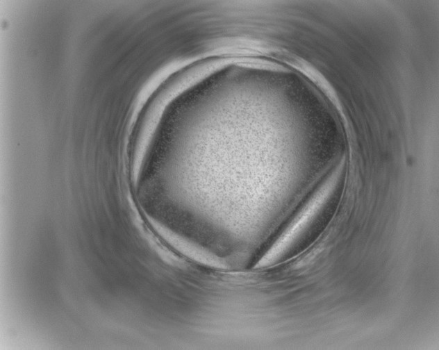 X0000081561488200701291137