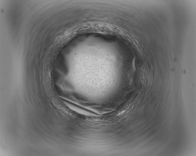 X0000081561489200701291136