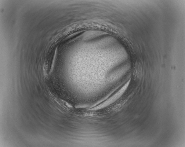 X0000081561490200701291136