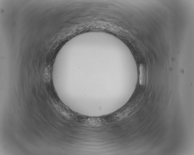 X0000081561491200701291136