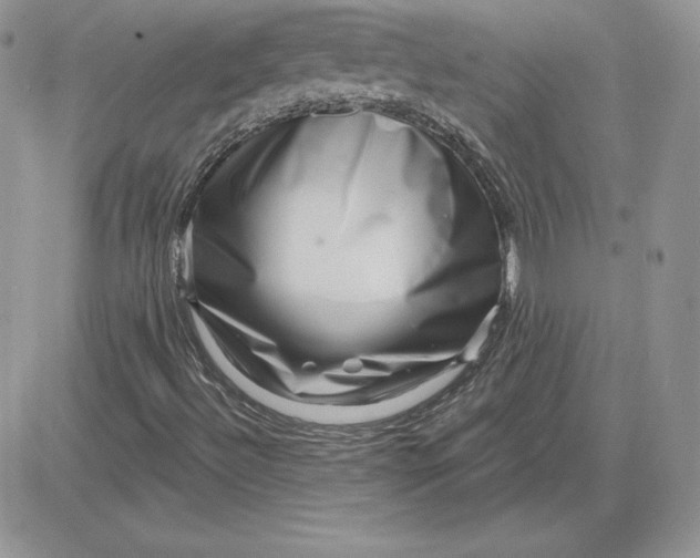 X0000081561492200701291136