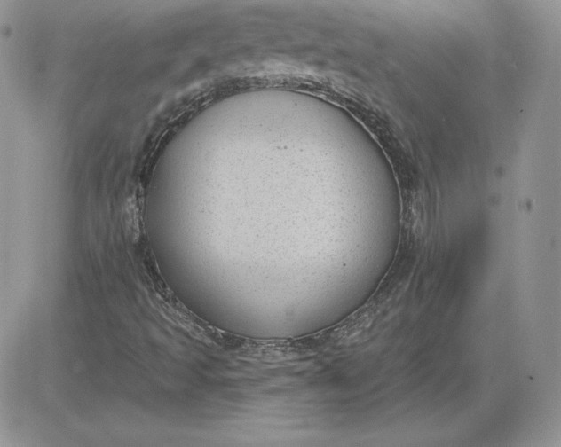 X0000081561493200701291136