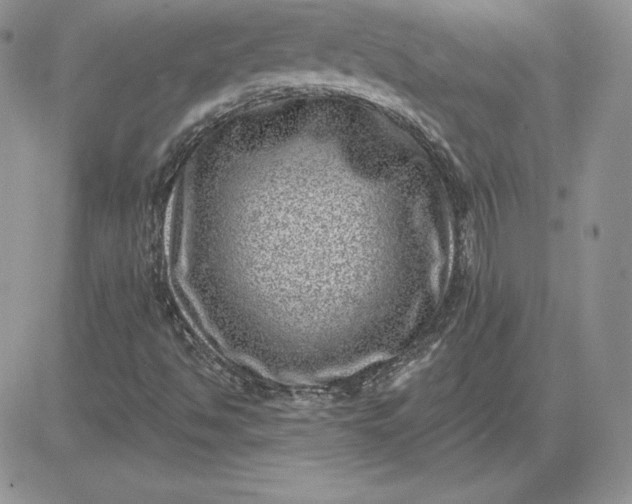 X0000081561494200701291136