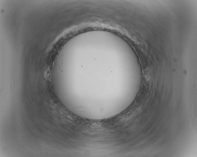 X0000081561495200701291136