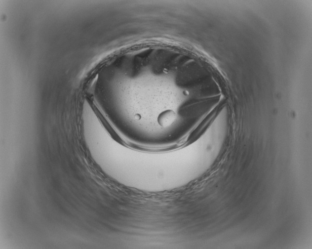 X0000081561496200701291136