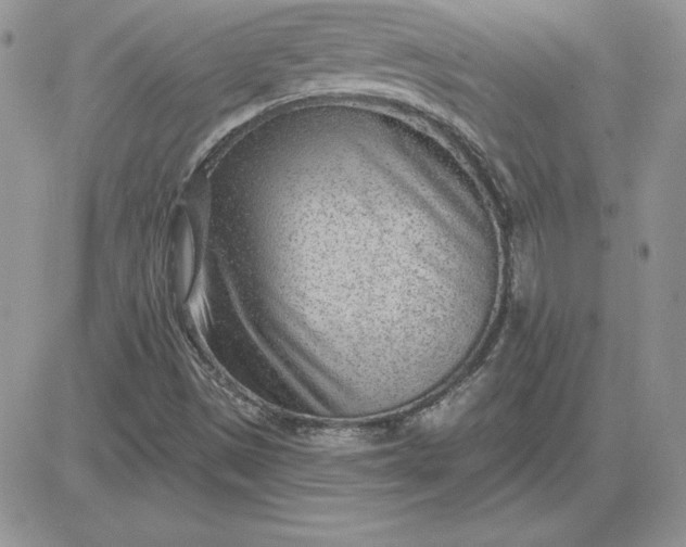 X0000081561497200701291136