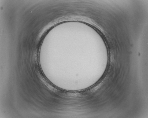 X0000081561498200701291136