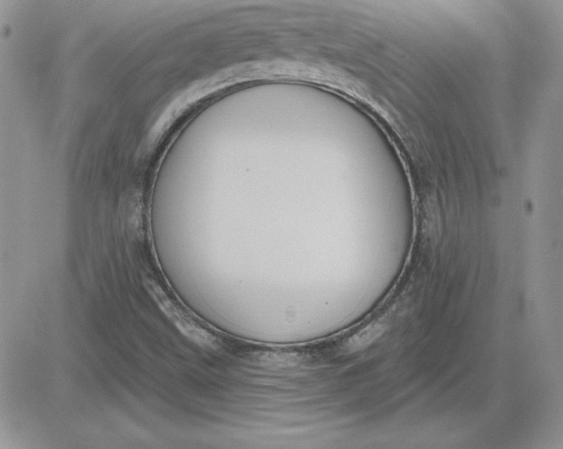 X0000081561499200701291136