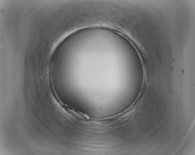 X0000081561500200701291136