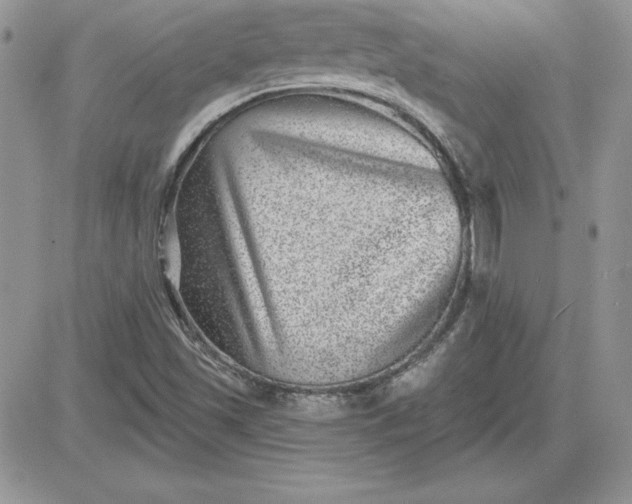 X0000081561501200701291136