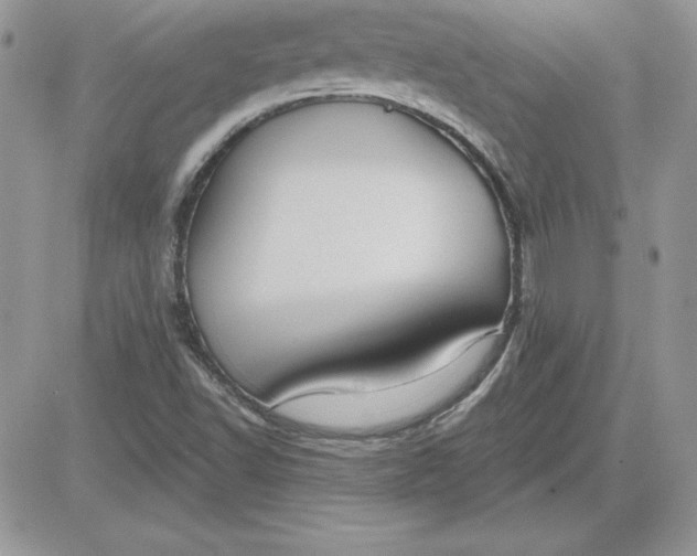 X0000081561502200701291136