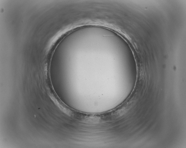 X0000081561503200701291136