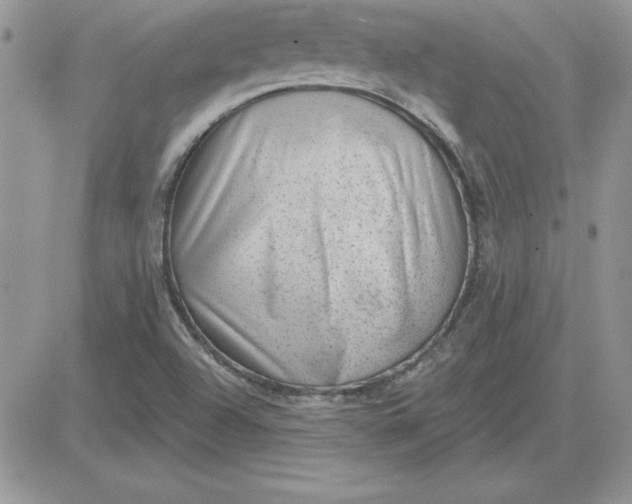 X0000081561504200701291136