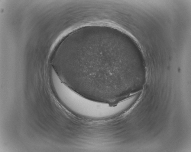 X0000081561506200701291136