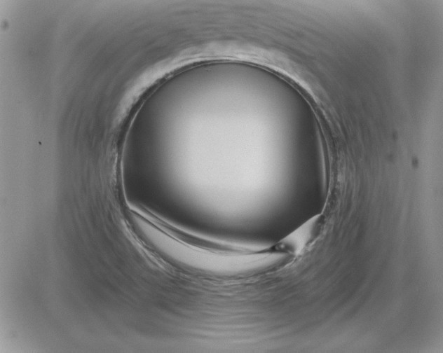 X0000081561507200701291136