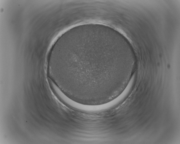 X0000081561508200701291136