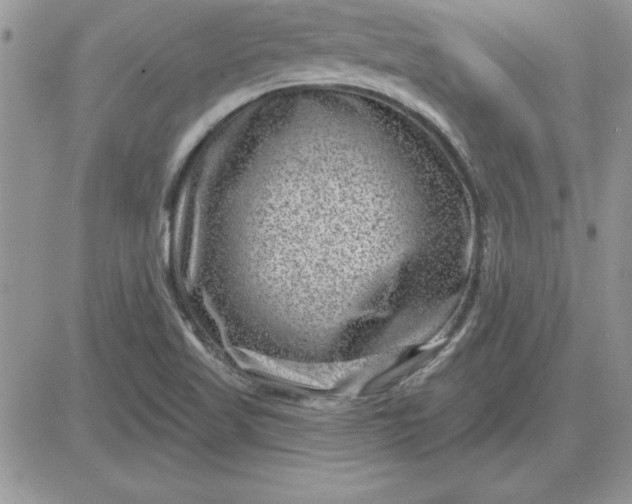 X0000081561509200701291136