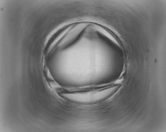 X0000081561510200701291136