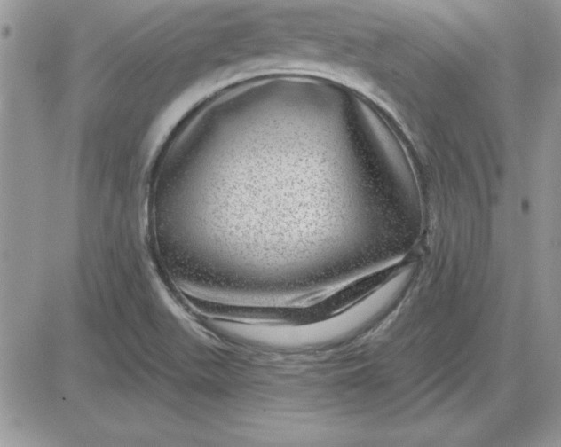 X0000081561511200701291136