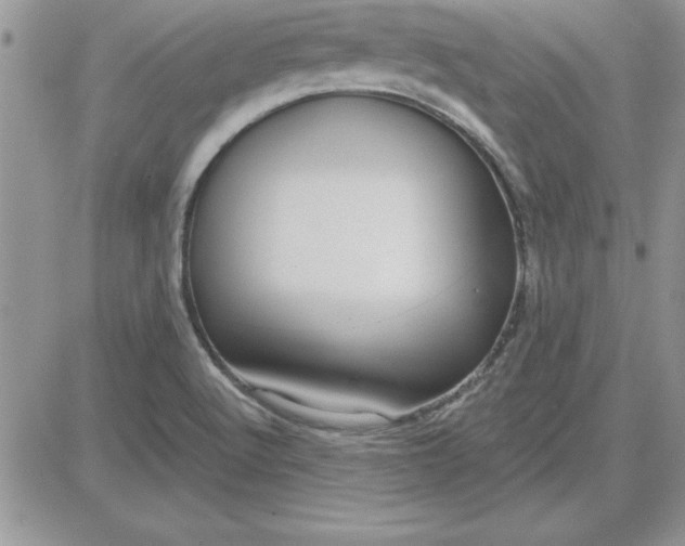 X0000081561512200701291136