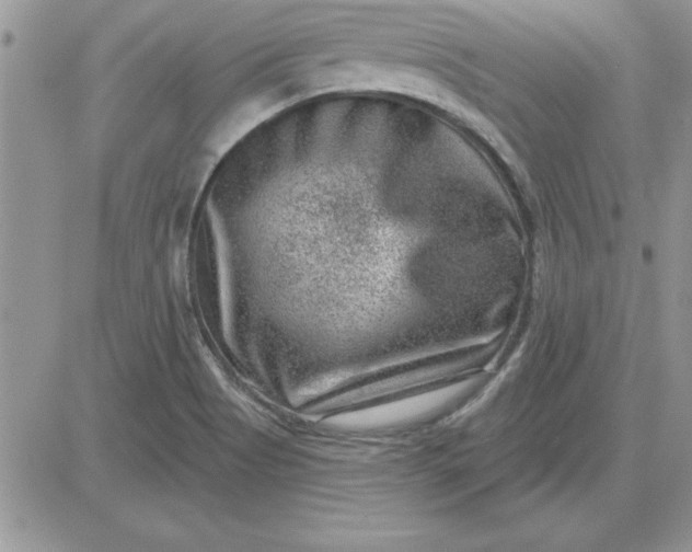 X0000081561513200701291137